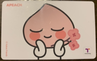 韓国 ソウル で ウォン を持たずにどこまで過ごせるか試してみた Developersio