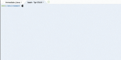 Cloud9でaws Cli V2を使えるようにセットアップする Developersio