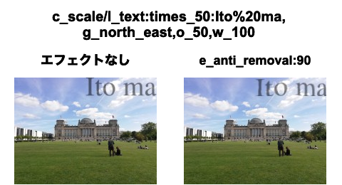 Image with image e_anti_removal
