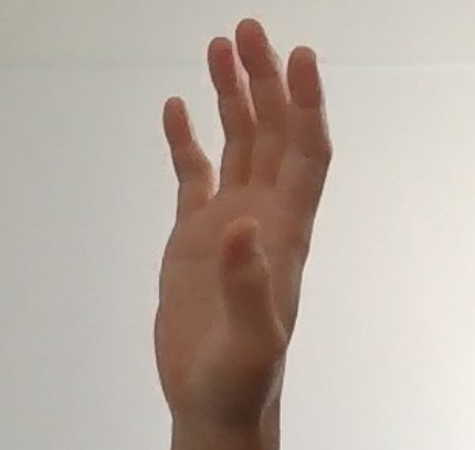 Mediapipe Landmarkデータから手のポーズを認識するため 指の状態 を認識する その１ Developersio