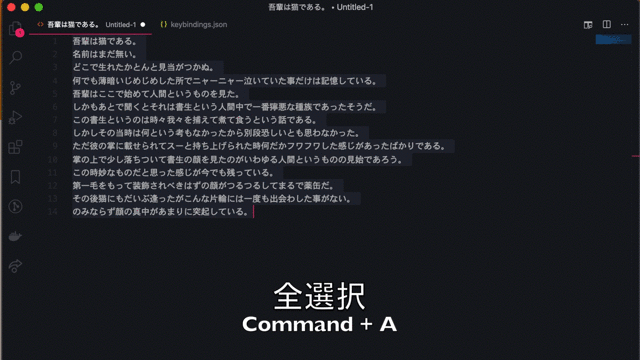 Vscodeの秘伝のワザを大公開 Developersio