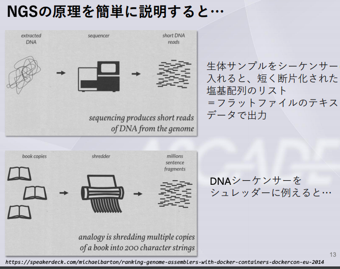 Galaxyを利用したゲノム解析へ入門 環境構築と基本操作編 Developersio
