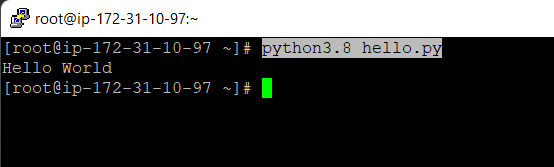 ec2_python3.8-8