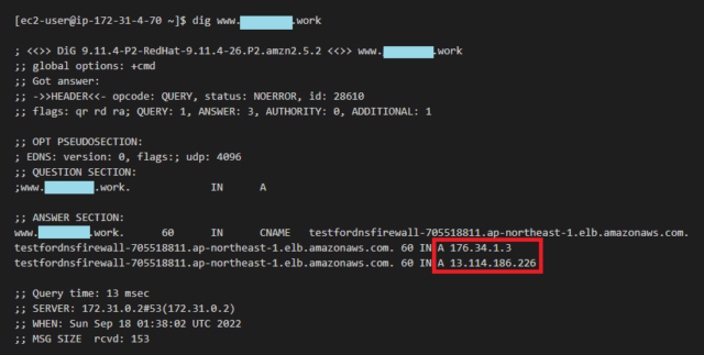 CNAME レコードを DNS クエリした際の Route 53 Resolver DNS Firewall 挙動を調べてみた