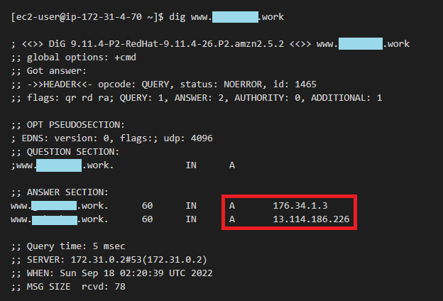 CNAME レコードを DNS クエリした際の Route 53 Resolver DNS Firewall 挙動を調べてみた