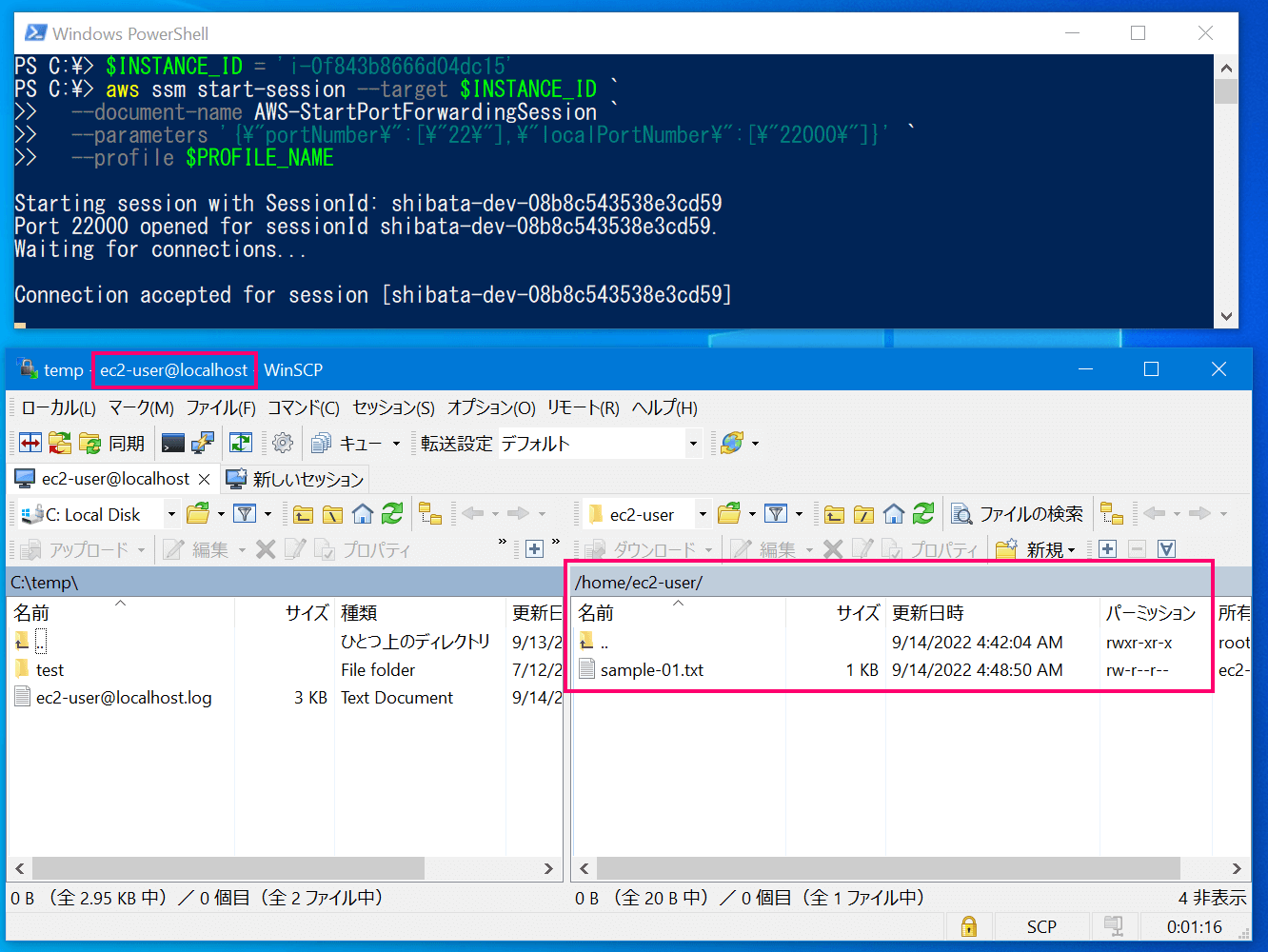 [小ネタ] WinSCPをAWS Systems Managerセッションマネージャーと組み合わせて利用する | DevelopersIO